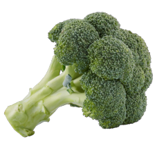 Broccoli